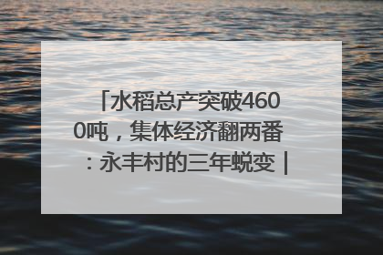 水稻总产突破4600吨，集体经济翻两番：永丰村的三年蜕变｜您牵挂的四川